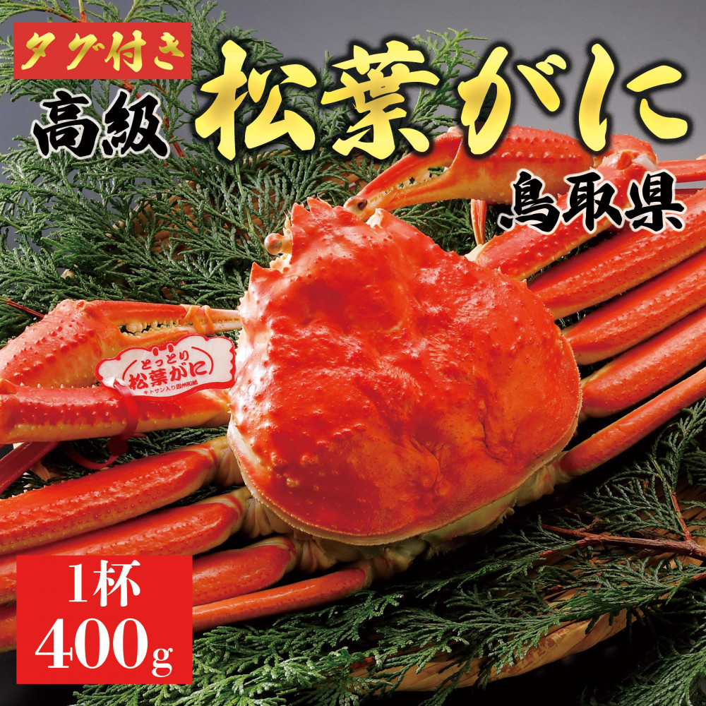 【ふるさと納税】【2026年11月発送】特撰 松葉がに（茹）【ブランドタグ付き】400g超のサイズ 1杯｜鳥取県琴浦町