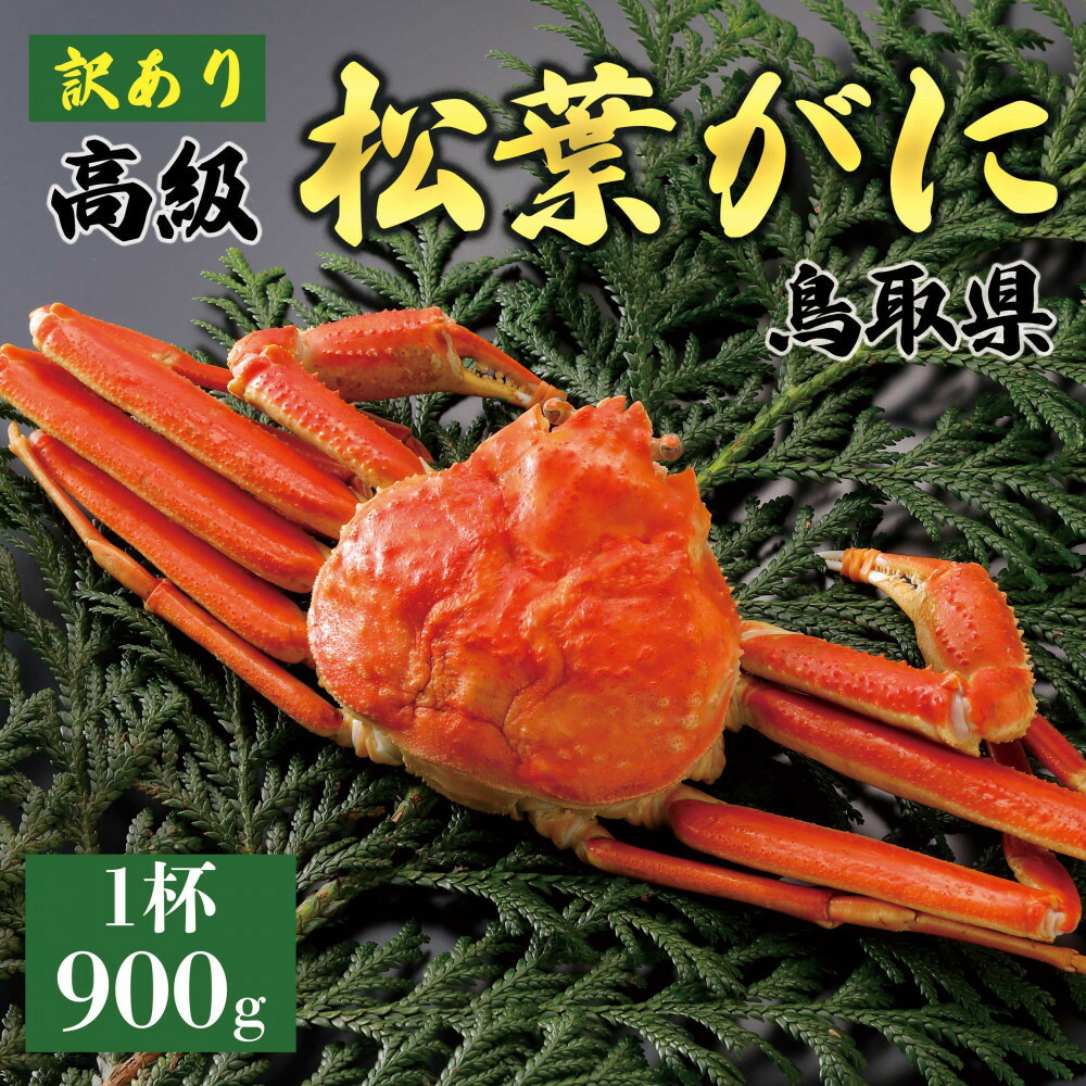 【ふるさと納税】【2026年11月発送】特撰 松葉がに(茹)【訳あり】900g超の大きいサイズ 食べ応えあり 特大1杯|鳥取県琴浦町