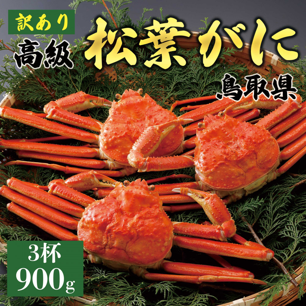 【ふるさと納税】【2026年11月発送】特撰 松葉がに（茹）【訳あり】900g超の大きいサイズ 食べ応えあり 特大3杯｜鳥取県琴浦町
