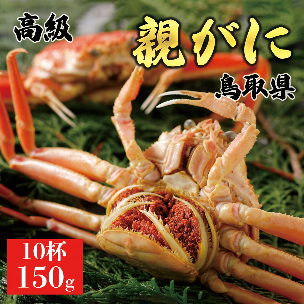 【ふるさと納税】【2026年11月発送】鳥取県産 特撰 親がに 姿【セコガニ】(茹)150g 10杯|鳥取県琴浦町