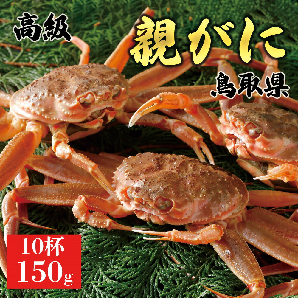 【ふるさと納税】【2026年11月発送】鳥取県産 特撰 親がに 姿【セコガニ】（なま）【訳あり】150g 10杯｜鳥取県琴浦町