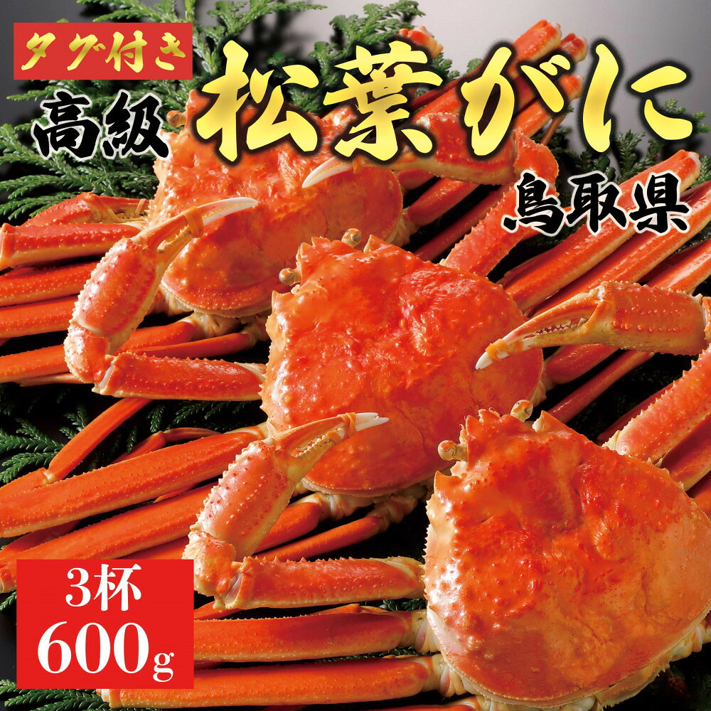 【ふるさと納税】【2026年11月発送】特撰 松葉がに（茹）【ブランドタグ付き】600g超のサイズ 3杯｜鳥取県琴浦町 77,000円