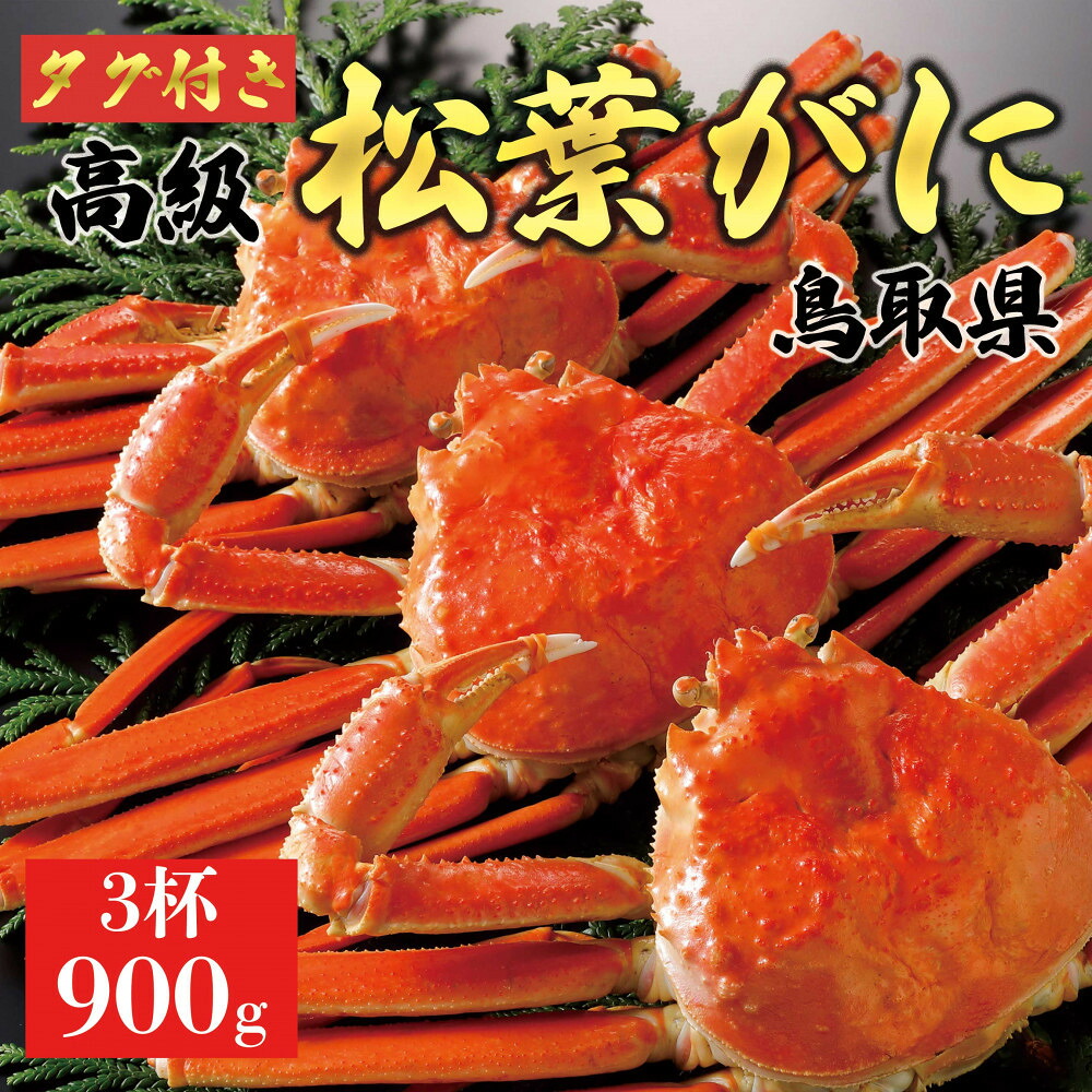 【ふるさと納税】【2026年11月発送】特撰 松葉がに（茹）【ブランドタグ付き】900g超の大きいサイズ 食べ応えあり 特大3杯｜鳥取県琴浦町 103,950円