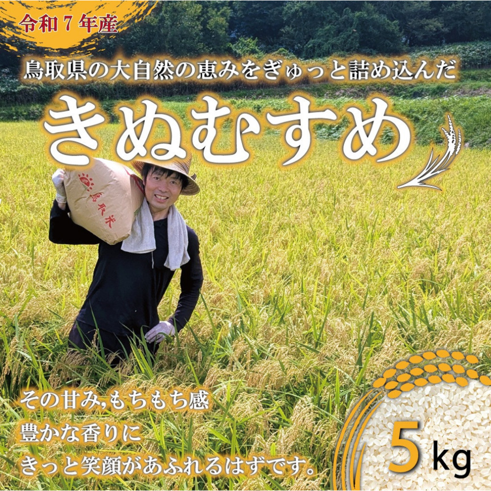 【ふるさと納税】令和7年産　原田農園きぬむすめ 5kg｜鳥取県琴浦町