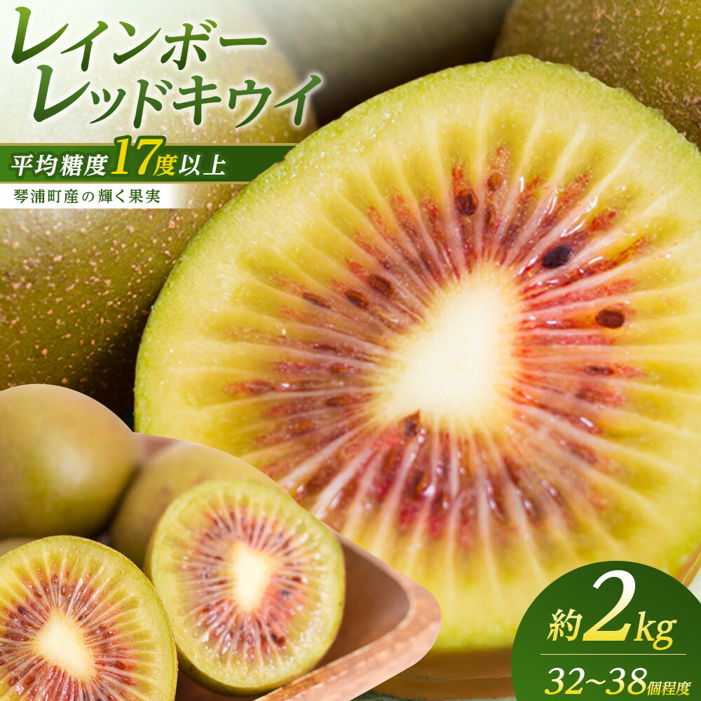 【ふるさと納税】キウイフルーツ(レインボーレッド2kg)と追熟剤セット | フルーツ 果物 くだもの 食品 人気 おすすめ 送料無料|鳥取県琴浦町