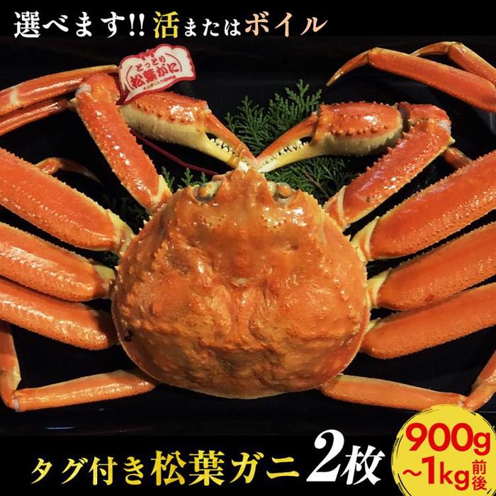 【ふるさと納税】【選べます！活またはボイル】タグ付き松葉ガニ 特大2枚※2026年11月上旬～2027年3月下旬頃に順次発送予定 | 蟹 かに 松葉ガニ 松葉蟹 タグ付き 鳥取県産 北栄町 おすすめ 人気｜鳥取県北栄町