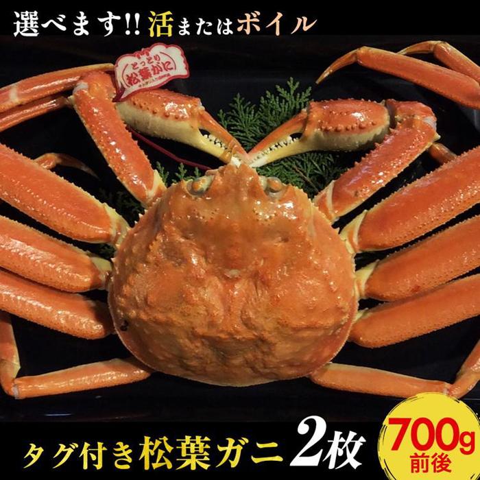 【ふるさと納税】【選べます！活またはボイル】タグ付き松葉ガニ 2枚※2026年11月上旬～2027年3月下旬頃に順次発送予定 | 蟹 かに 松葉ガニ 松葉蟹 タグ付き 鳥取県産 北栄町 おすすめ 人気｜鳥取県北栄町 62,150円