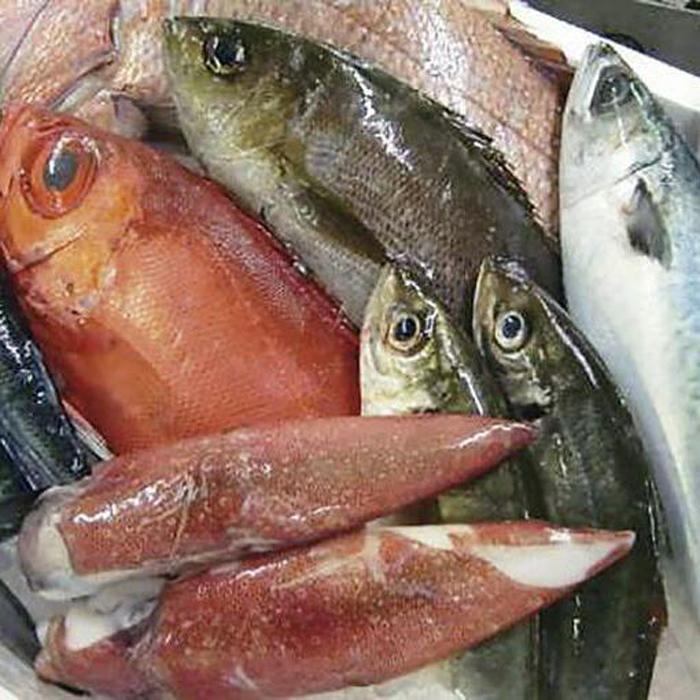 【ふるさと納税】125.鮮魚セット | 魚 いか さば 鯖 海鮮 海鮮セット 詰合せ 鳥取県産 北栄町 おすすめ 人気｜鳥取県北栄町