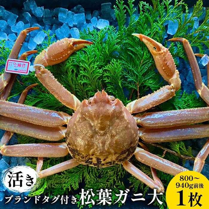 【ふるさと納税】107.【活き】ブランドタグ付き松葉ガニ 大　800～940g前後 1枚 ※2026年11月上旬～2027年3月上旬頃に順次発送予定 | 松葉ガニ 松葉蟹 蟹 かに カニ味噌 みそ ズワイガニ 鳥取県 北栄町 おすすめ 人気 送料無料