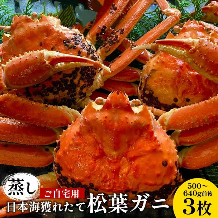 【ふるさと納税】114.【蒸し】訳あり ご自宅用 日本海獲れたて松葉ガニ 500～640g前後 ３枚 ※2026年11月上旬～2027年3月上旬頃に順次発送予定 | 松葉ガニ 松葉蟹 蟹 かに カニ味噌 みそ ズワイガニ 鳥取県 北栄町 おすすめ 人気 送料無料