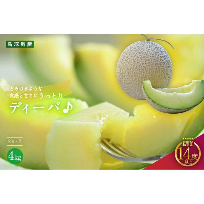 【ふるさと納税】【先行予約】920.【青肉系メロン】ディーバ×2玉(1玉2kg前後×2玉)※離島への配送不可(北海道、沖縄本島は配送可能) | 先行予約 メロン 果物 くだもの フルーツ メロン 旬 甘い 鳥取県 鳥取 北栄町 おすすめ 人気|鳥取県北栄町