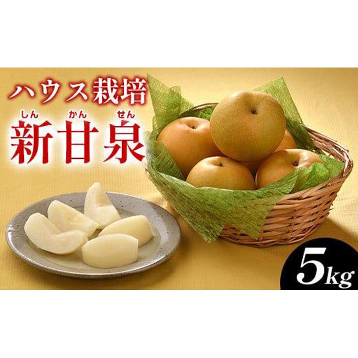 【ふるさと納税】287.ハウス新甘泉（ハウスしんかんせん）5kg（JA）※2025年8月上旬～8月中旬頃に順次発送予定 | 先行予約 梨 なし ナシ 新甘泉 フルーツ 果物 鳥取県 北栄町 おすすめ 人気