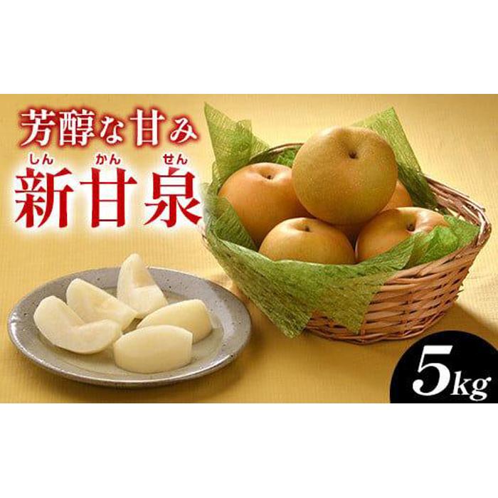 【ふるさと納税】289.新甘泉（しんかんせん）5kg（JA）※2025年8月下旬～9月上旬頃に順次発送予定 | 先行予約 梨 なし ナシ 新甘泉 フルーツ 果物 鳥取県 北栄町 おすすめ 人気