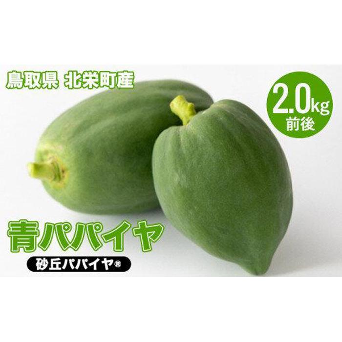 【ふるさと納税】781.青パパイヤ（砂丘パパイヤ）2.0kg前後※2025年9月中旬～11月下旬頃に順次発送予定※離島への配送不可