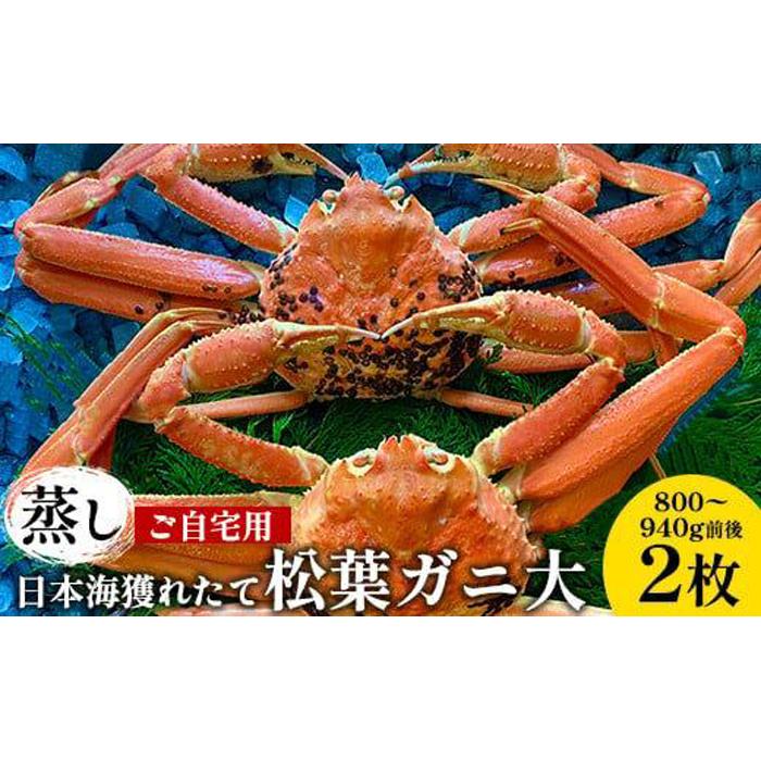 【ふるさと納税】115.【蒸し】訳あり ご自宅用 日本海獲れたて松葉ガニ 大 800～940g前後 ２枚 ※2026年11月上旬～2027年3月上旬頃に順次発送予定 | 家庭用 松葉ガニ 松葉蟹 蟹 かに カニ味噌 みそ ズワイガニ 鳥取県 北栄町 おすすめ 人気 送料無料