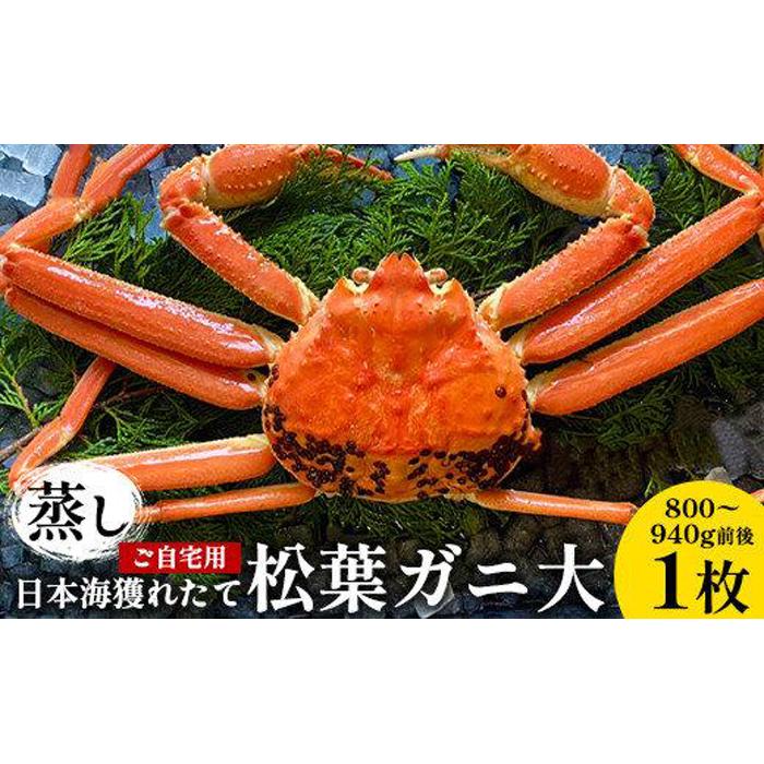 【ふるさと納税】116.【蒸し】訳あり ご自宅用 日本海獲れたて松葉ガニ 大 800～940g前後 1枚 ※2026年11月上旬～2027年3月上旬頃に順次発送予定 | 家庭用 松葉ガニ 松葉蟹 蟹 かに カニ味噌 みそ ズワイガニ 鳥取県 北栄町 おすすめ 人気 送料無料