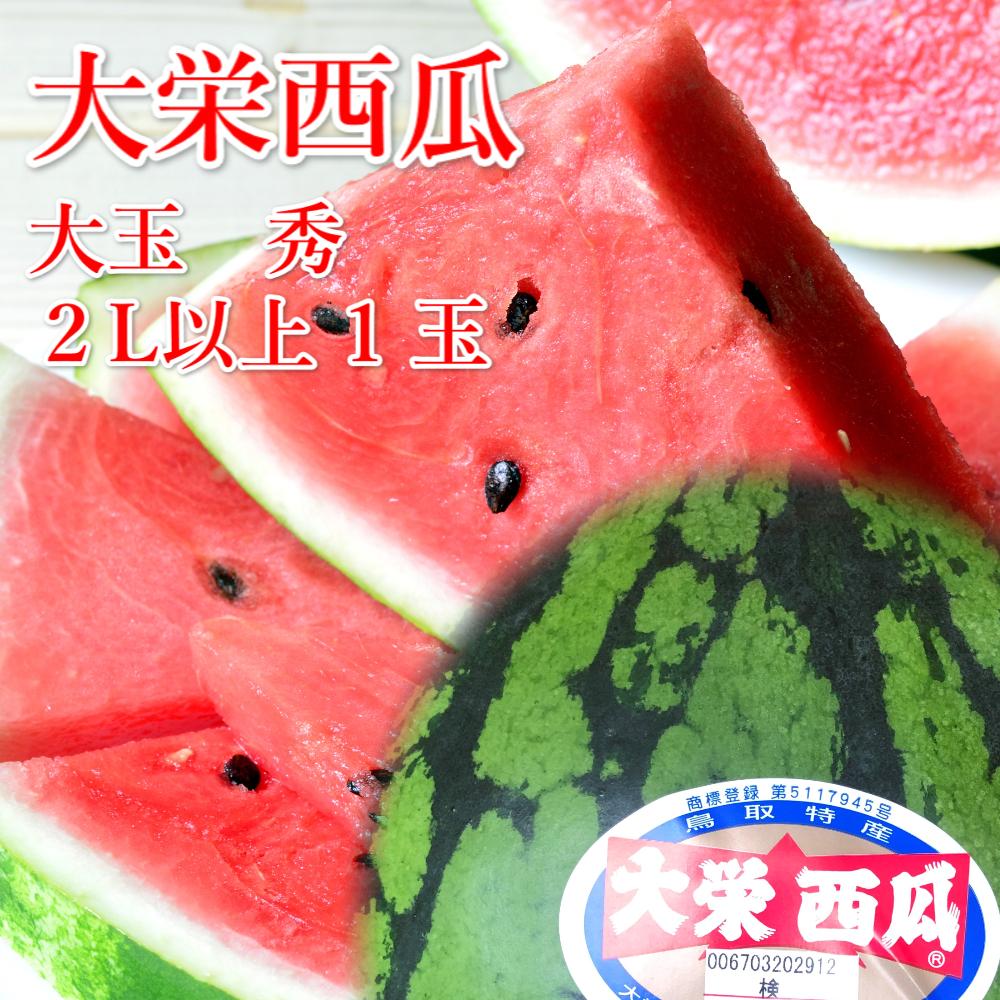 【ふるさと納税】998.【ふるさと納税】【先行予約】大栄西瓜　1玉（高間商店）※6月中旬～7月中旬頃に順次発送予定