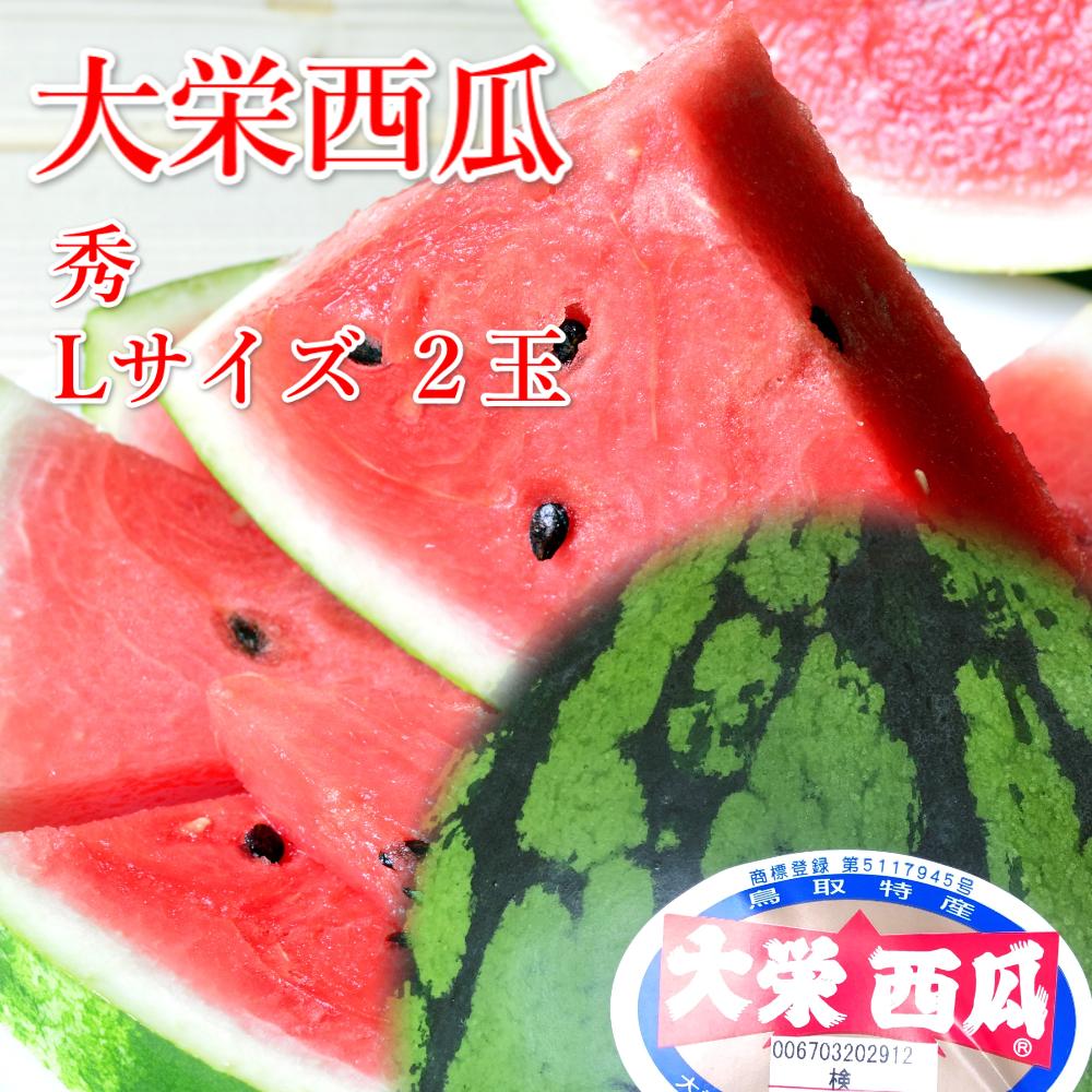 【ふるさと納税】999.【ふるさと納税】【先行予約】大栄西瓜　L　２玉　※6月中旬～7月中旬頃に順次発送予定