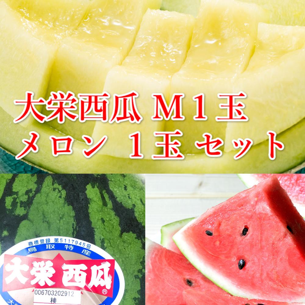 【ふるさと納税】1000.【ふるさと納税】【先行予約】大栄西瓜　秀　1玉と旬のメロンセット※6月中旬～7月中旬頃に順次発送予定