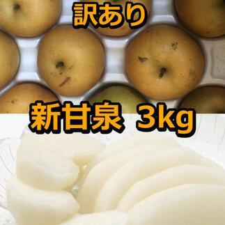 【ふるさと納税】954.【訳あり】新甘泉 3kg　【梨・なし】≪梨 なし ナシ 果物 フルーツ くだもの 鳥取県北栄町≫※8月下旬頃～9月中旬頃に順次発送