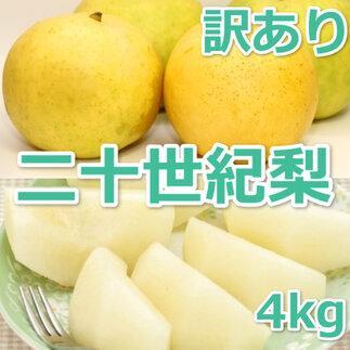 【ふるさと納税】953.【訳あり】二十世紀梨 4kg【梨・なし】≪梨 なし ナシ 果物 フルーツ くだもの 鳥取県北栄町≫※8月下旬頃～9月下旬頃に順次発送