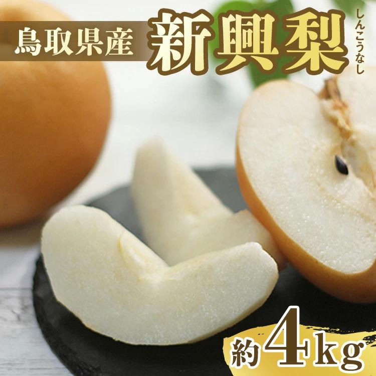 【ふるさと納税】303.【先行予約】新興梨　秀　約4Kg（4～16玉前後） ※10月～11月下旬頃に順次発送予定