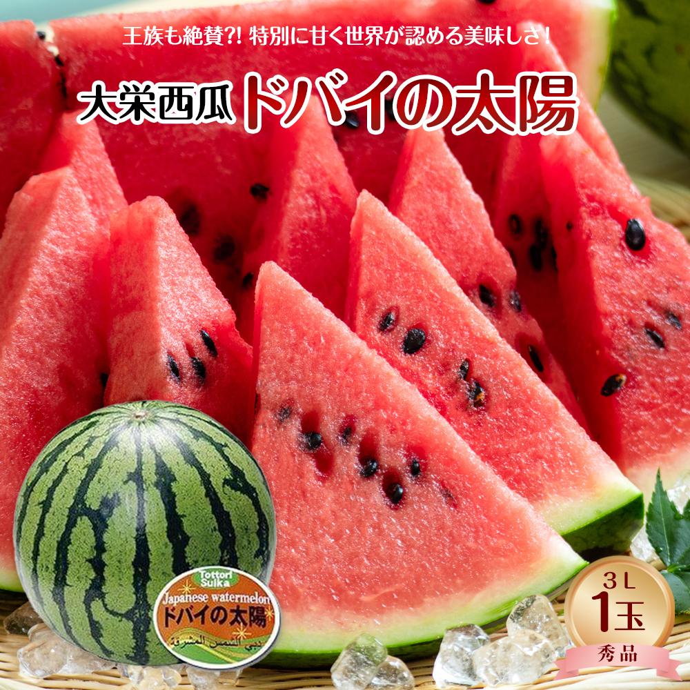 【ふるさと納税】732.【先行予約】【ＪＡ】大栄西瓜「ドバイの太陽」秀3Ｌ×1玉　※着日指定不可 ※離島への配送不可 ※2025年6月中旬頃～7月中旬頃に順次発送予定