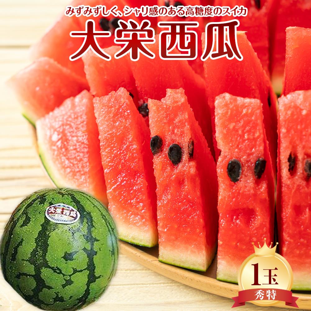 【ふるさと納税】734.【先行予約】【ＪＡ】大栄西瓜 秀特×1玉　※着日指定不可　※離島への配送不可　※2025年6月中旬頃～7月中旬頃に順次発送予定