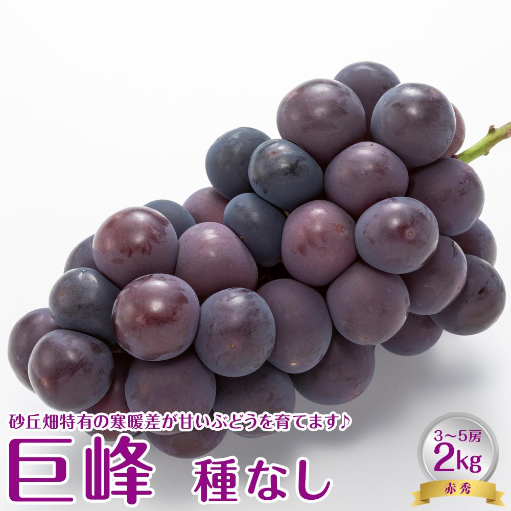 【ふるさと納税】738.【先行予約】【ＪＡ】　巨峰（種なし）赤秀2kg箱（3～5房入）　※着日指定不可　※離島への配送不可　※2025年8月初旬頃～8月中旬頃に順次発送予定