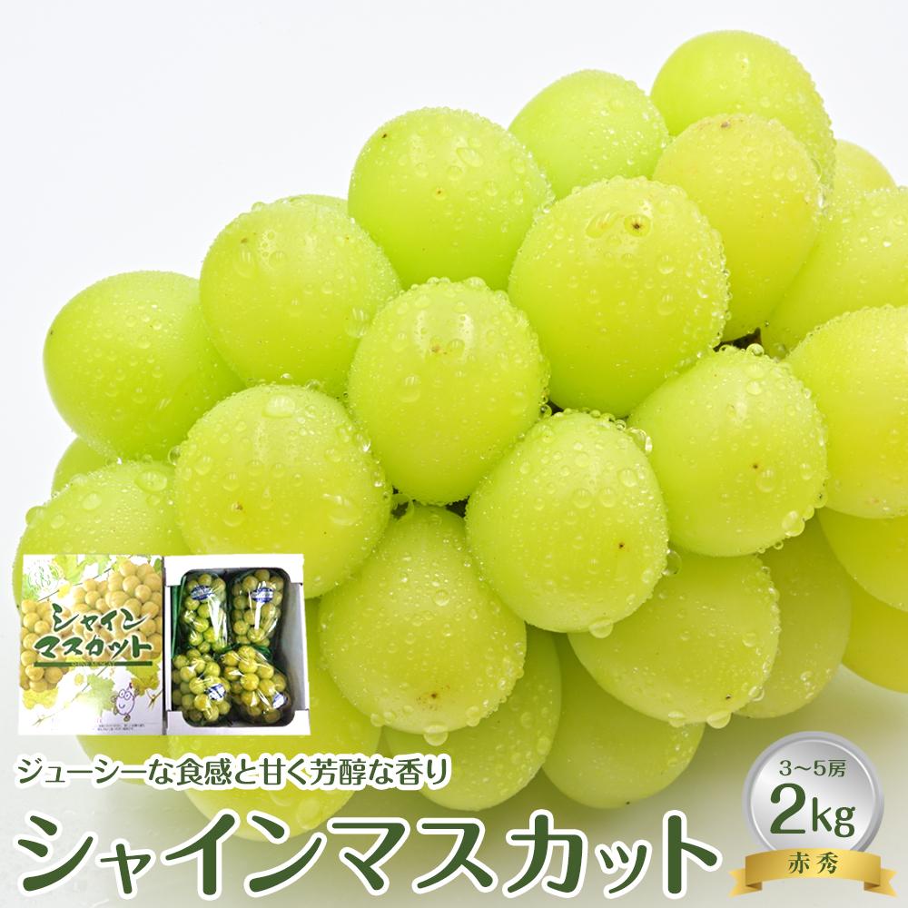 【ふるさと納税】736.【先行予約】【ＪＡ】　シャインマスカット　赤秀2kg箱（3～5房入）　※着日指定不可　※離島への配送不可　※2025年9月初旬頃～9月中旬頃に順次発送予定