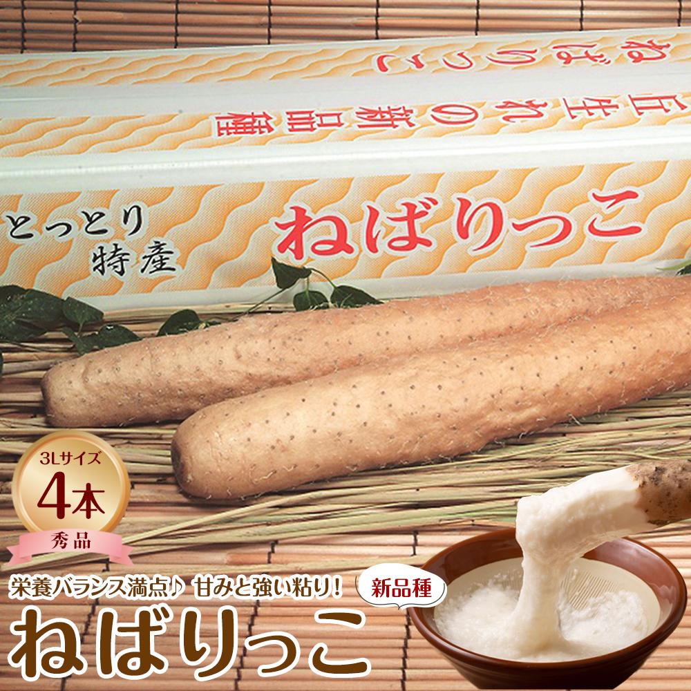 【ふるさと納税】742.【ＪＡ】ねばりっこ　秀3Ｌ×4本　※着日指定不可　※離島への配送不可　※順次発送予定