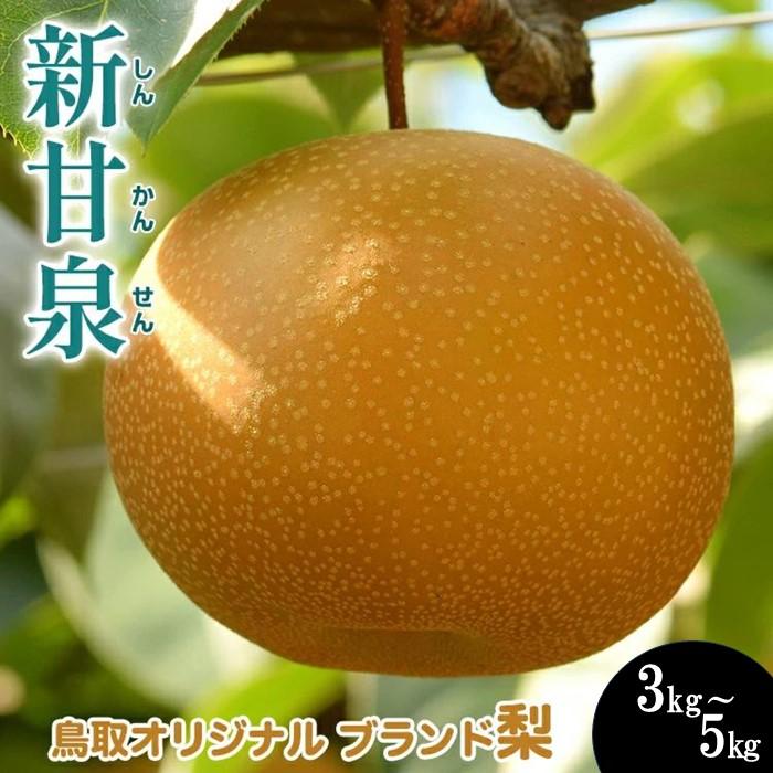【ふるさと納税】【先行予約】選べる！新甘泉　3kg前後～5kg前後（3～18玉前後）｜梨 なし 新甘泉 しんかんせん ◇ ※8月中旬～9月中旬頃に順次発送予定