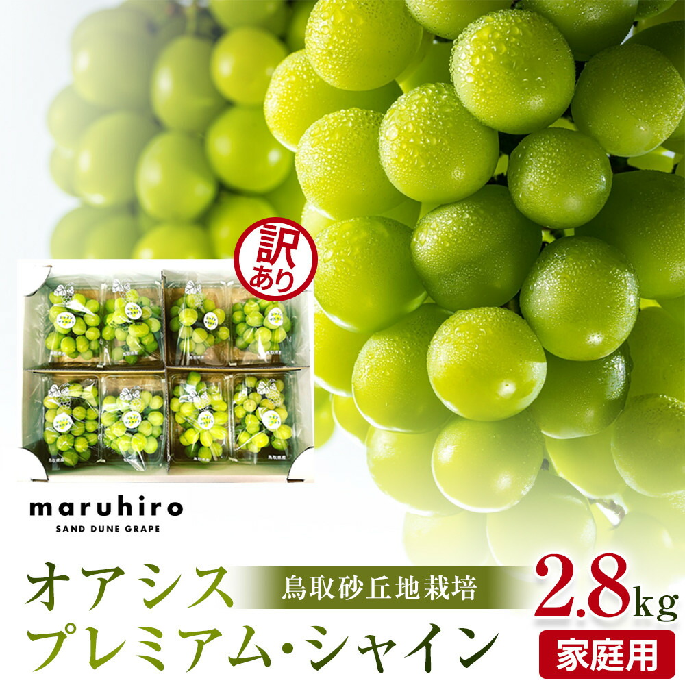 【ふるさと納税】914.【先行予約】シャインマスカット 訳あり 家庭用 鳥取砂丘地産 2.8kg（350g×8パック） ※離島への配送不可 ※2025年8月下旬頃～10月下旬頃に順次発送