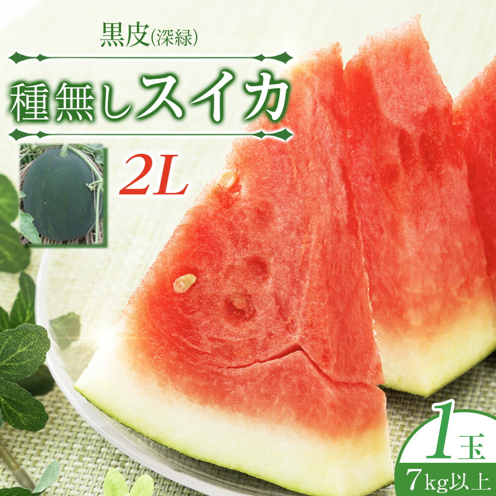 【ふるさと納税】244.【先行予約】黒皮（深緑）種無しスイカ　(大)◇　※6月上旬～7月下旬頃に順次発送予定　※着日指定不可（こちらの返礼品は、大栄西瓜ではありません）