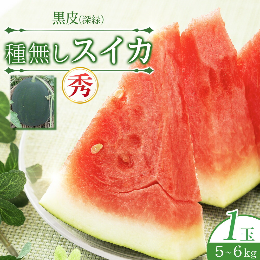 【ふるさと納税】245.【先行予約】黒皮（深緑）種無しスイカ◇秀（こちらの返礼品は、大栄西瓜ではありません）※6月上旬～7月下旬頃に順次発送予定　※着日指定不可