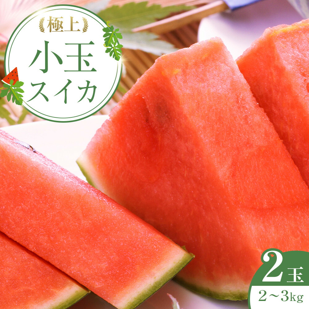【ふるさと納税】248.【先行予約】極上小玉スイカ　２玉　※6月上旬～8月中旬頃に順次発送予定