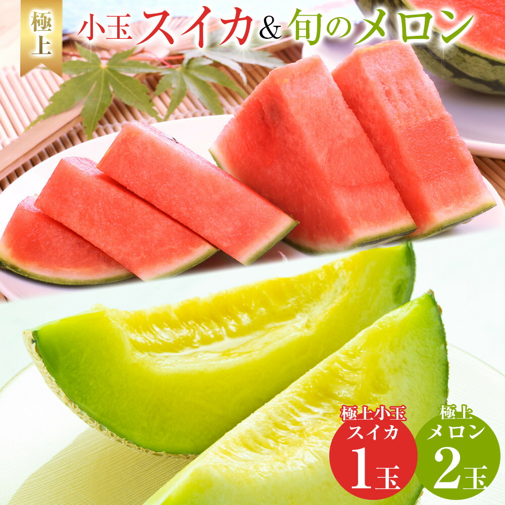 【ふるさと納税】254.【先行予約】極上小玉スイカと旬のメロン2玉セット ※6月上旬～7月下旬頃に順次発送予定