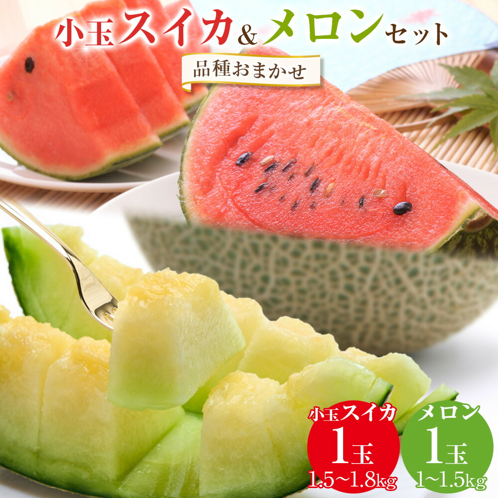 【ふるさと納税】255.【先行予約】【品種はおまかせ】小玉スイカ1玉とメロン1玉セット◇ ※6月上旬～7月中旬頃に順次発送予定