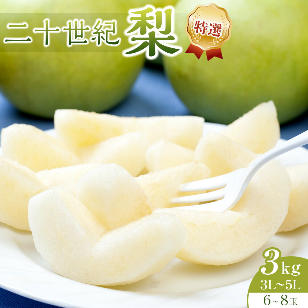 【ふるさと納税】281.【先行予約】二十世紀梨　特選　３kg　３Ｌ～５Ｌ　６～８玉前後　※2025年8月下旬～9月下旬頃に順次発送予定