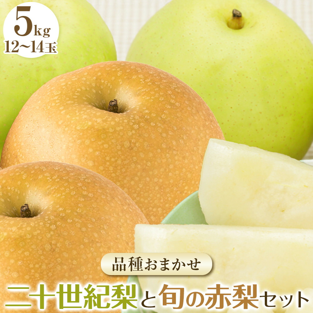 【ふるさと納税】282.【先行予約】二十世紀梨と旬の赤梨セット　５ｋｇ◇　※2025年8月下旬～9月下旬頃に順次発送予定