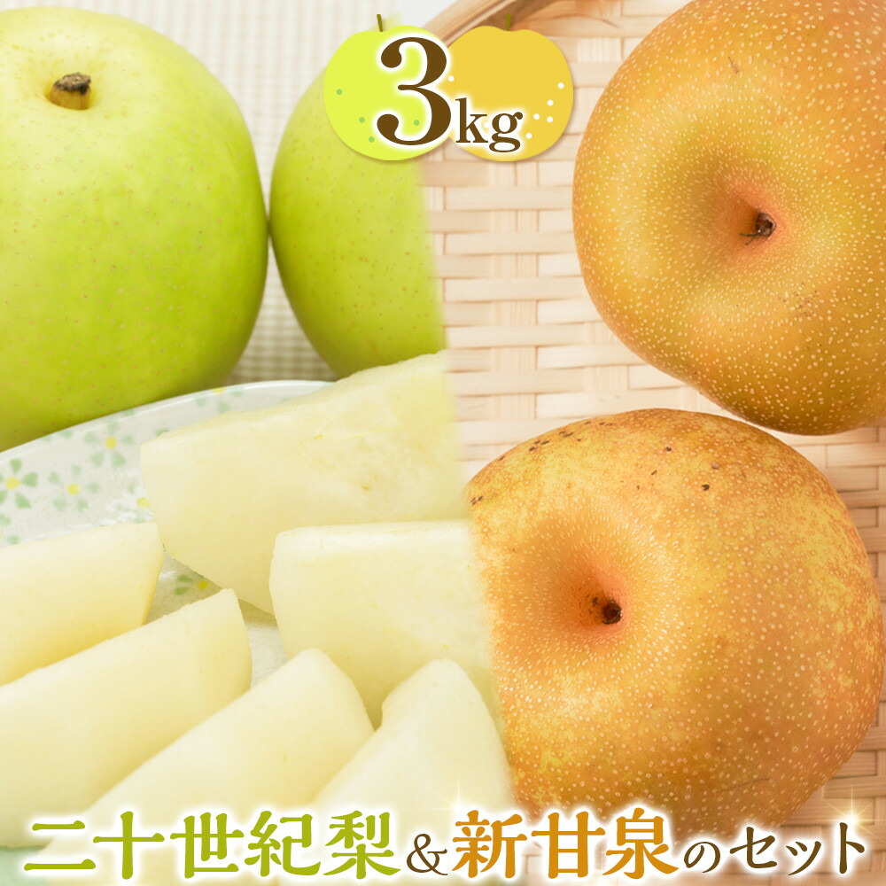 【ふるさと納税】284.【先行予約】二十世紀梨と新甘泉のセット｜梨 なし 二十世紀梨 新甘泉 しんかんせん　※2025年8月下旬～9月下旬頃に順次発送予定