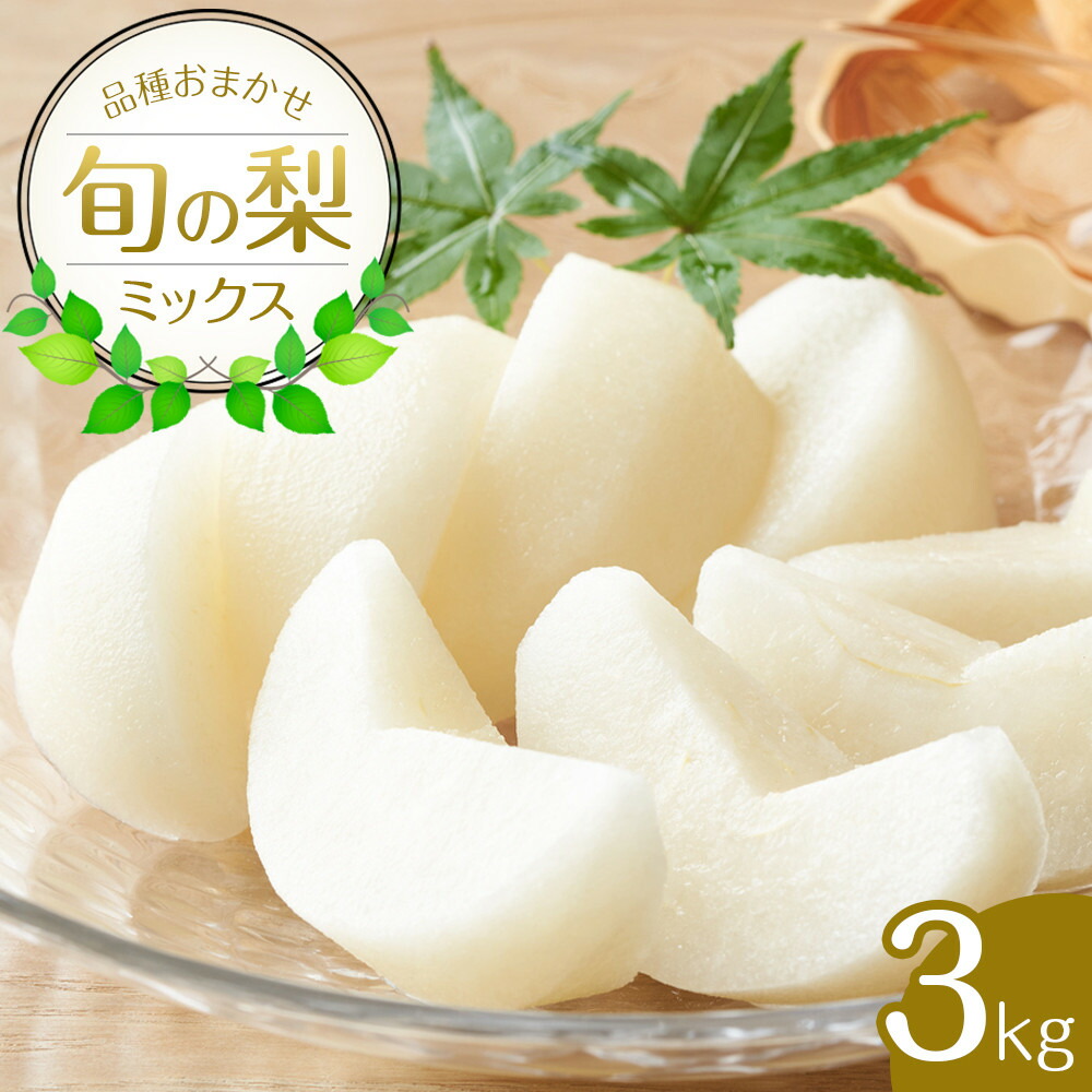 【ふるさと納税】308.【先行予約】【品種はおまかせ】旬の梨ミックスセット 3kg　※2025年8月下旬～12月下旬頃に順次発送予定