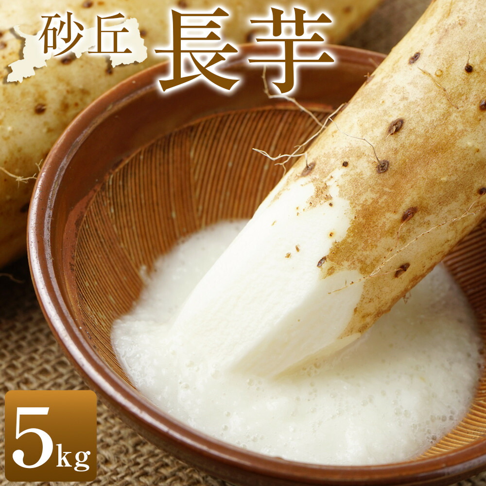 【ふるさと納税】322.≪先行受注≫ 砂丘長芋　5kg ※2025年11月上旬～2026年3月下旬頃に順次発送予定