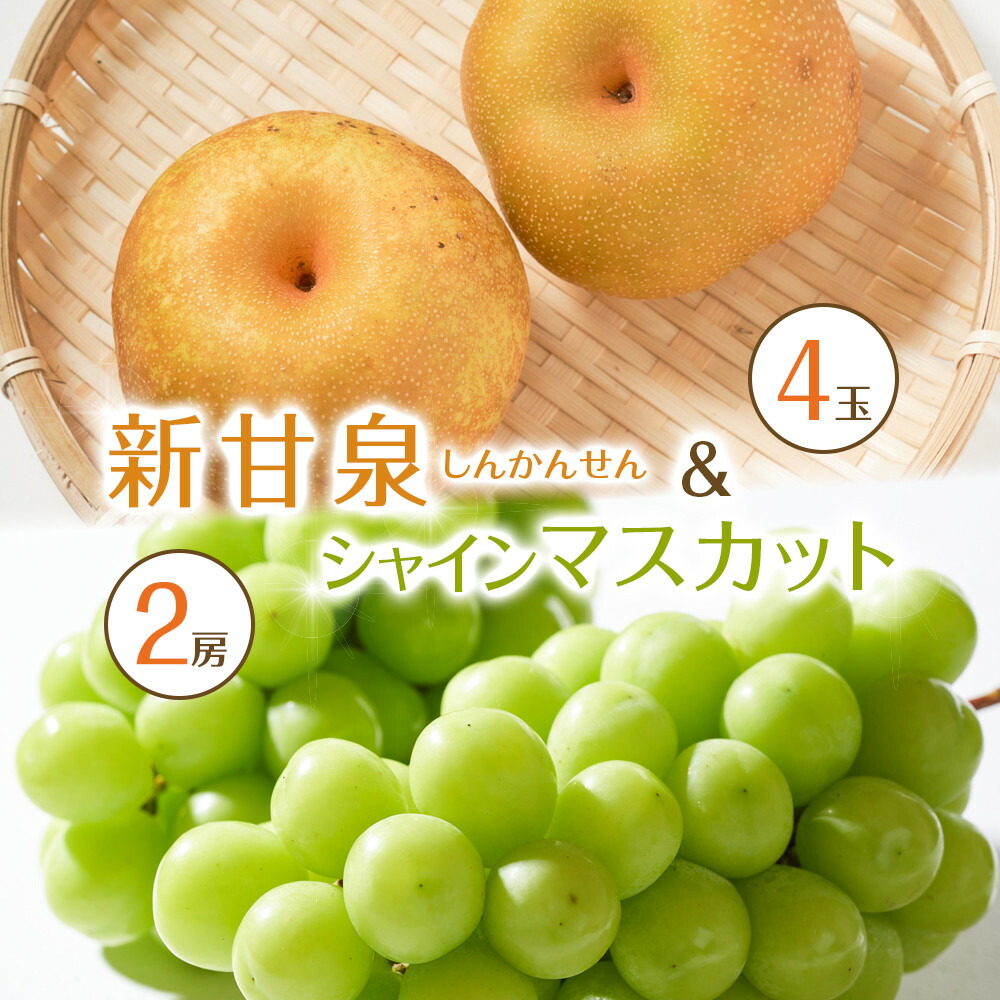 【ふるさと納税】536.【先行予約】新甘泉4玉とシャインマスカット2房｜梨 なし 新甘泉 しんかんせん シャインマスカット 産地直送 ぶどう 鳥取県　※8月下旬～9月中旬頃に順次発送予定