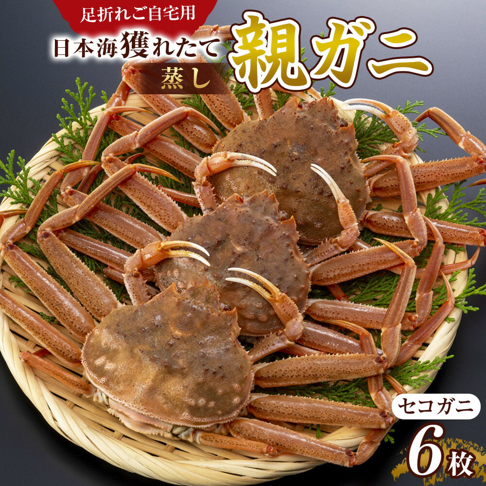 【ふるさと納税】120.【先行予約】【活き】訳あり 足折れ ご自宅用 日本海獲れたて親ガニ（セコガニ）6枚　※2025年11月上旬～12月下旬頃に順次発送予定