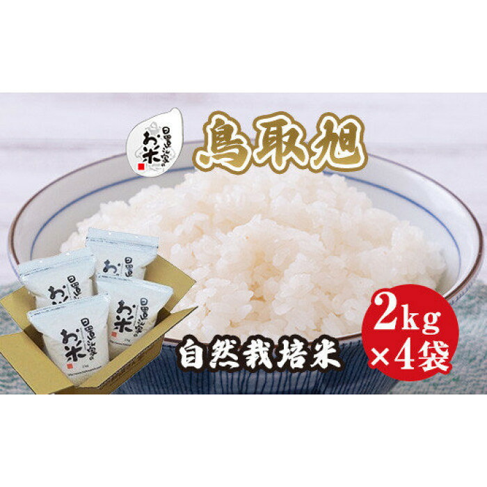 IWACHU ファミリーシチューパン 16cm IWACHU ファミリーシチューパン 16cm