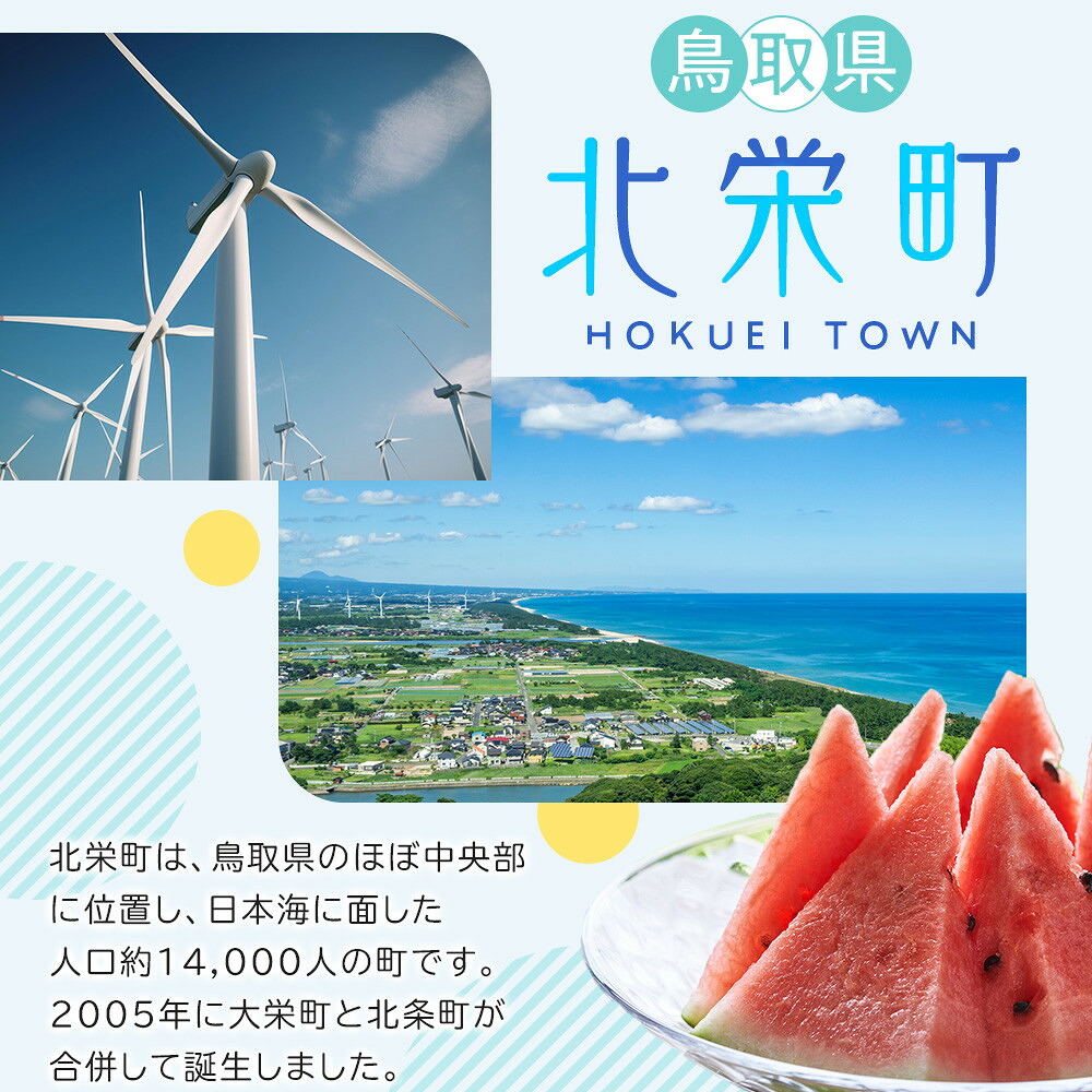 【ふるさと納税】【先行予約】＜選べる容量＞ 梨 王秋梨 3kg 5kg 鳥取県産 ※2026年10月下旬～12月上旬頃に順次発送予定 | 梨 なし ナシ 王秋梨 鳥取県産 新鮮 3キロ 5キロ 先行予約 果物 くだもの フルーツ 旬 北栄町 おすすめ 人気