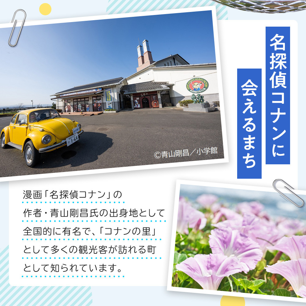 【ふるさと納税】【先行予約】＜選べる容量＞ 梨 王秋梨 3kg 5kg 鳥取県産 ※2026年10月下旬～12月上旬頃に順次発送予定 | 梨 なし ナシ 王秋梨 鳥取県産 新鮮 3キロ 5キロ 先行予約 果物 くだもの フルーツ 旬 北栄町 おすすめ 人気