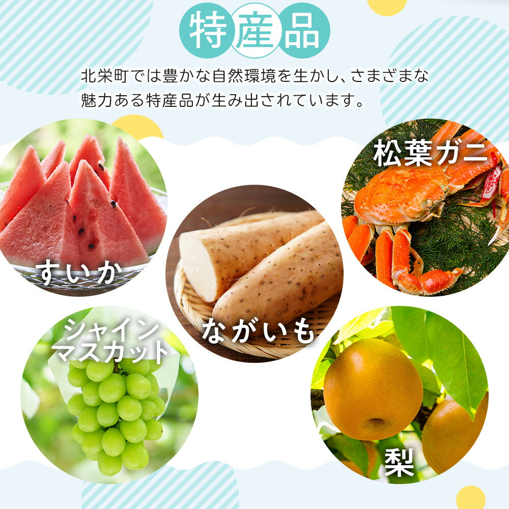 【ふるさと納税】【先行予約】＜選べる容量＞ 梨 王秋梨 3kg 5kg 鳥取県産 ※2026年10月下旬～12月上旬頃に順次発送予定 | 梨 なし ナシ 王秋梨 鳥取県産 新鮮 3キロ 5キロ 先行予約 果物 くだもの フルーツ 旬 北栄町 おすすめ 人気