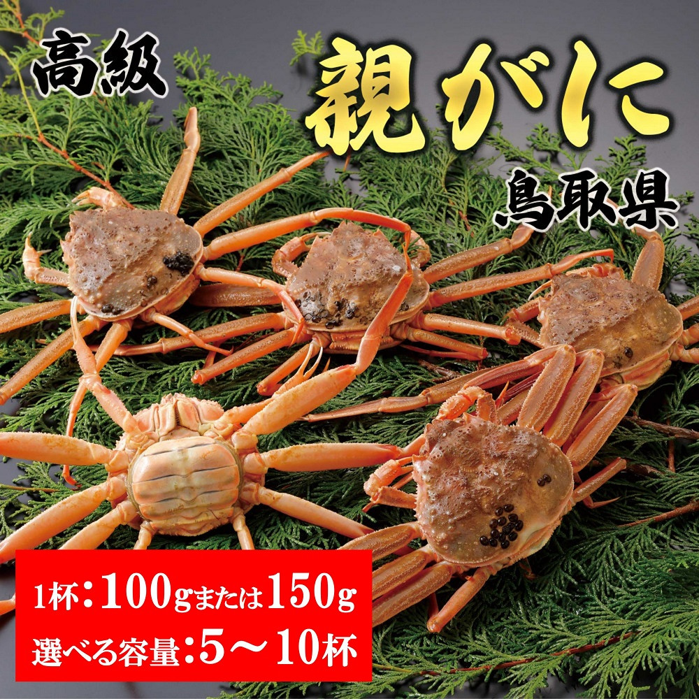 【ふるさと納税】内容量が選べる【2026年12月発送】鳥取県産 特撰 親がに 姿【セコガニ】（なま）100gまたは150g　5～10杯 | 蟹 生 ナマ かに セコガニ 鳥取県産 北栄町 おすすめ 人気｜鳥取県北栄町